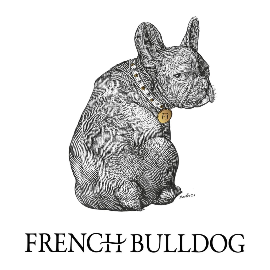 French Bouledogue