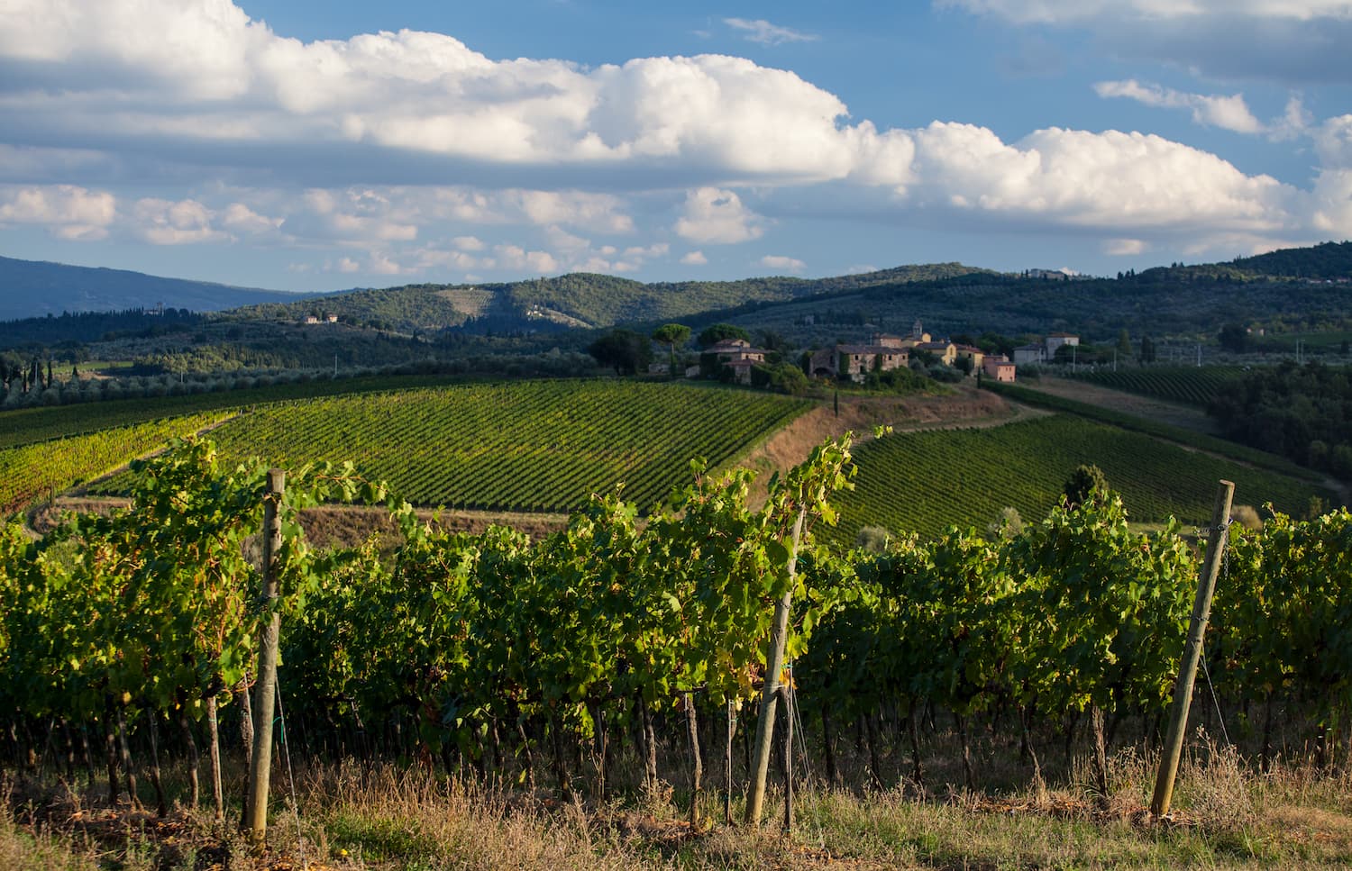 Santa Cristina producent