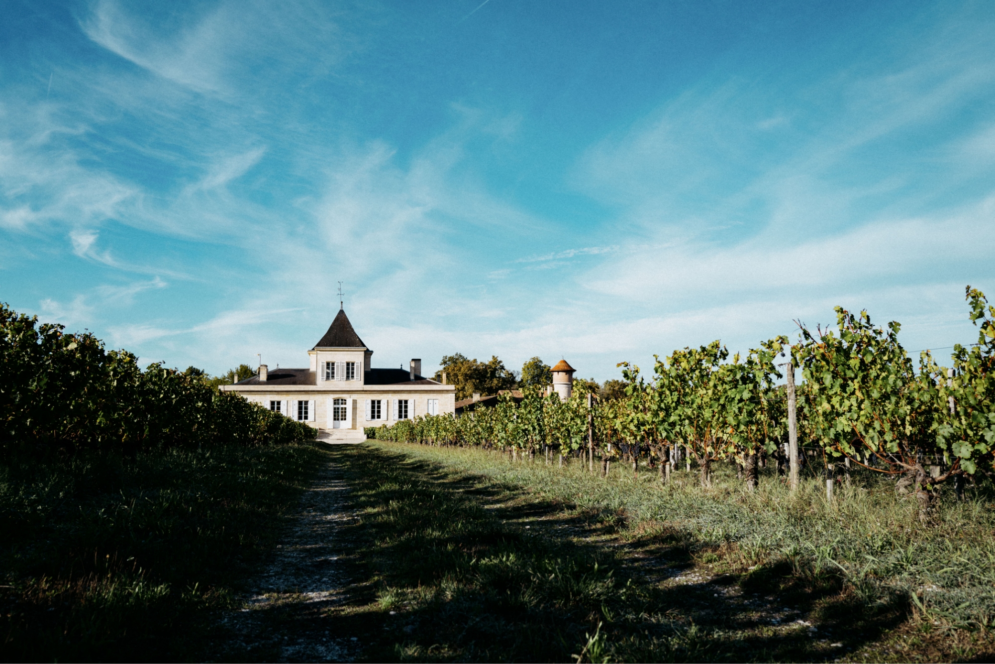 Winnice i posiadłość Château Brane-Cantenac w apelacji Margaux (Bordeaux) – château w tle i rzędy winorośli na żwirowym terroir