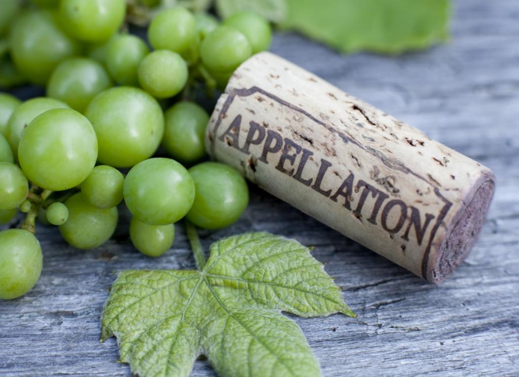 Rodzaj win apelacyjnych. Oznaczenia na butelkach.