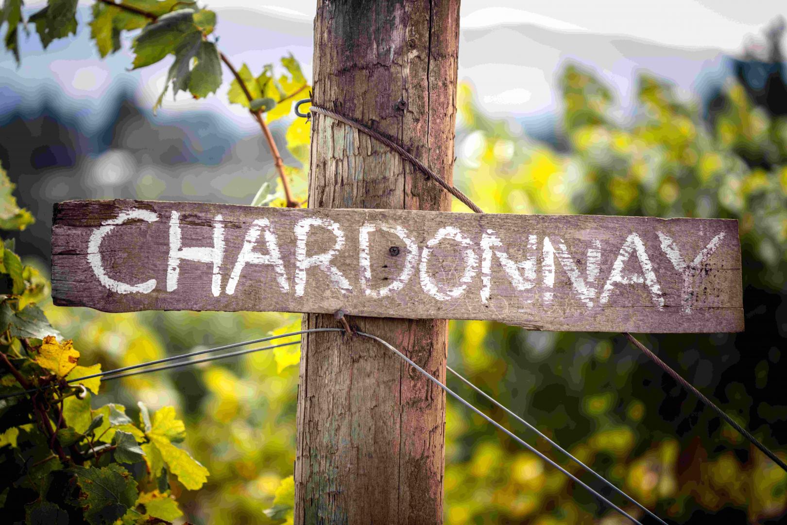 Chardonnay – wino uniwersalne