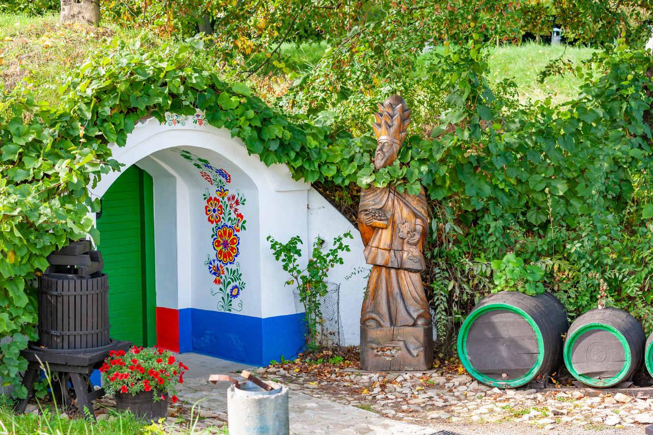 Wina czeskie – klasyfikacja