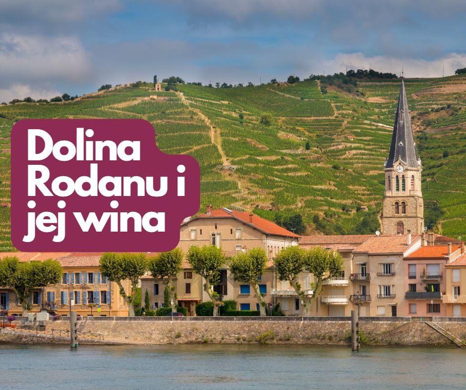 Dolina Rodanu i jej wina