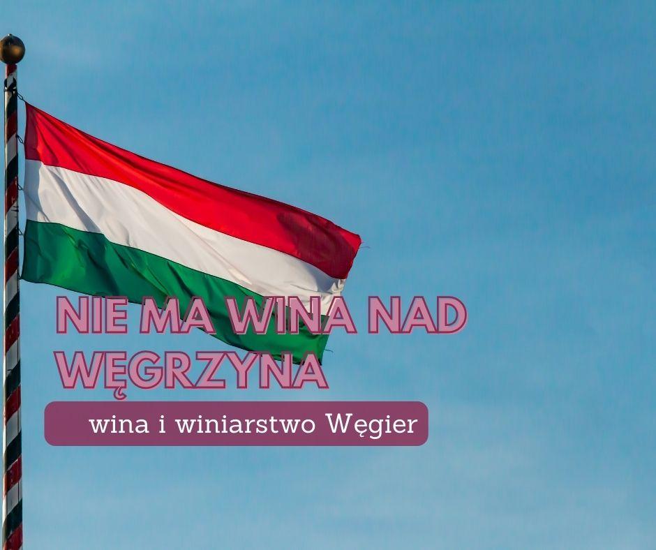 Nie ma wina nad Węgrzyna – wina i winiarstwo Węgierskie