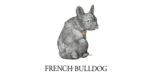 French Bouledogue