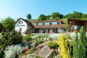 Ászok Borház Tokaj