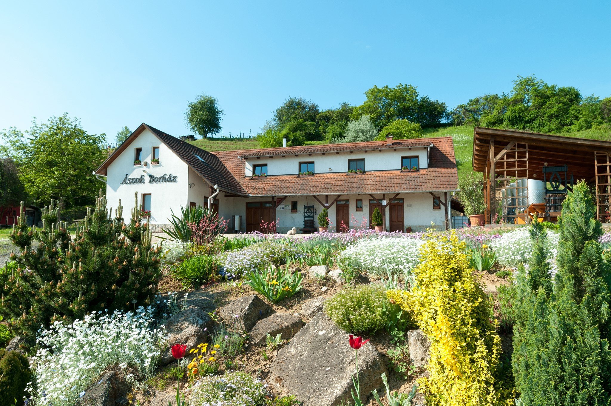 Ászok Borház Tokaj