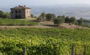 Biondi Santi