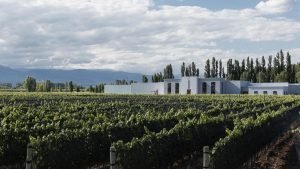 Bodega Foster Lorca