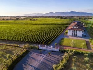 Castellani Cevin S.P.A.