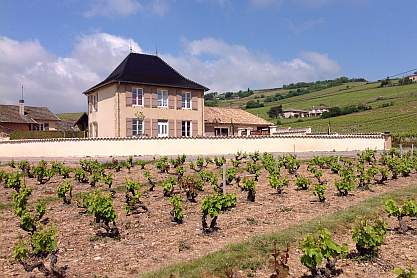Domaine Laurent Perrachon & Fils