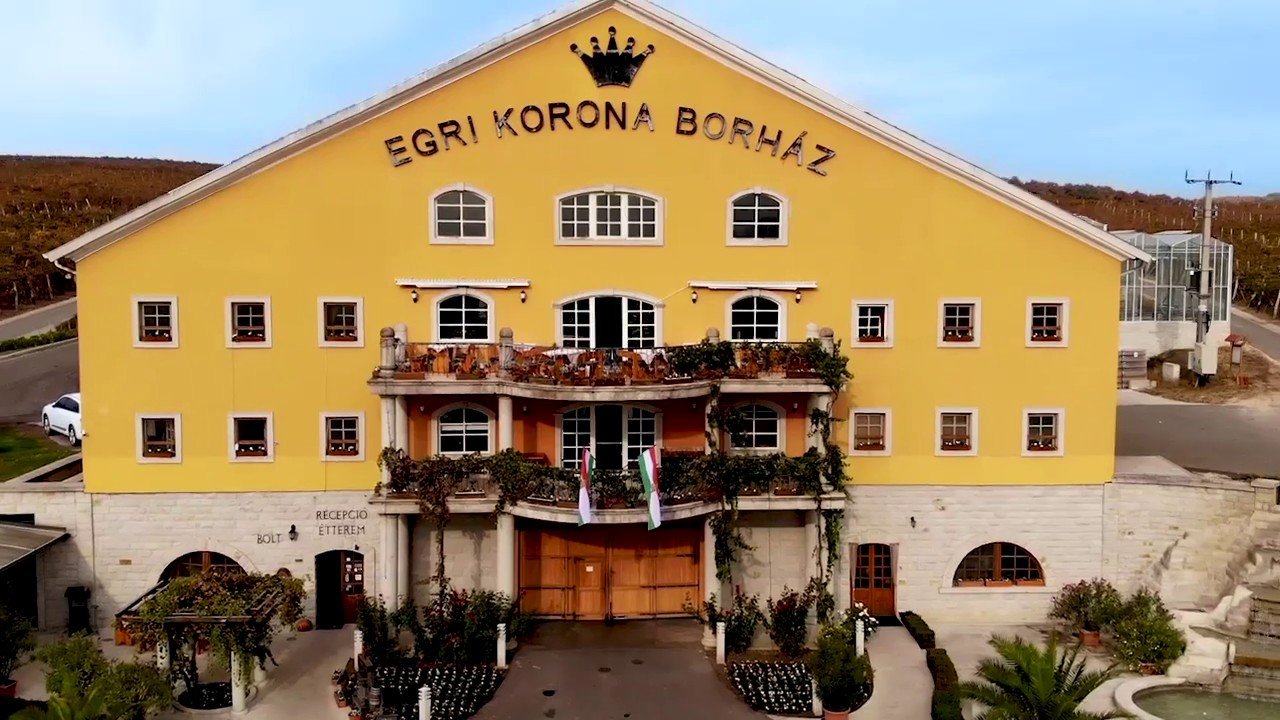 Egri Korona Borhaz