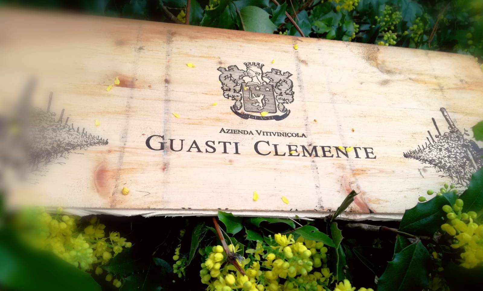 Guasti Clemente