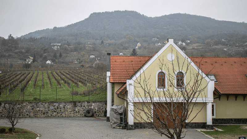 Weingut Alfred Fischer