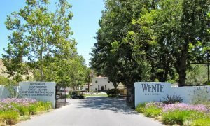 Wente Vineyards