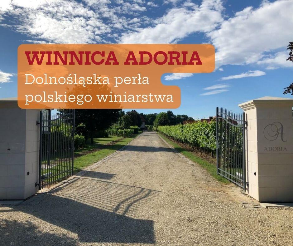 Winnica Adoria – dolnośląska perła polskiego winiarstwa