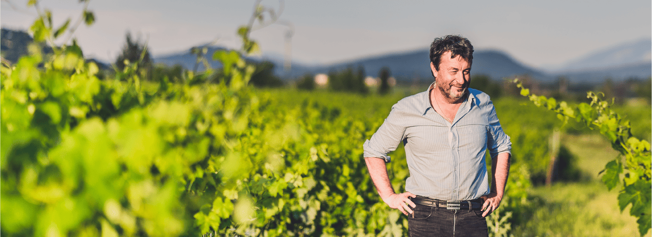 Wina z Doliny Rodanu Domaine Alary w winnicy Cairanne