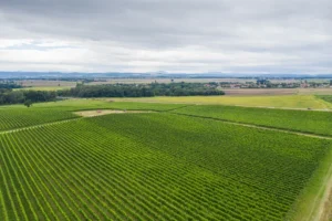 Winnica Silesian