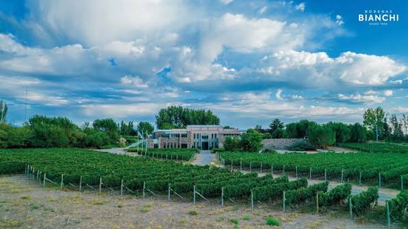 Bodegas Bianchi