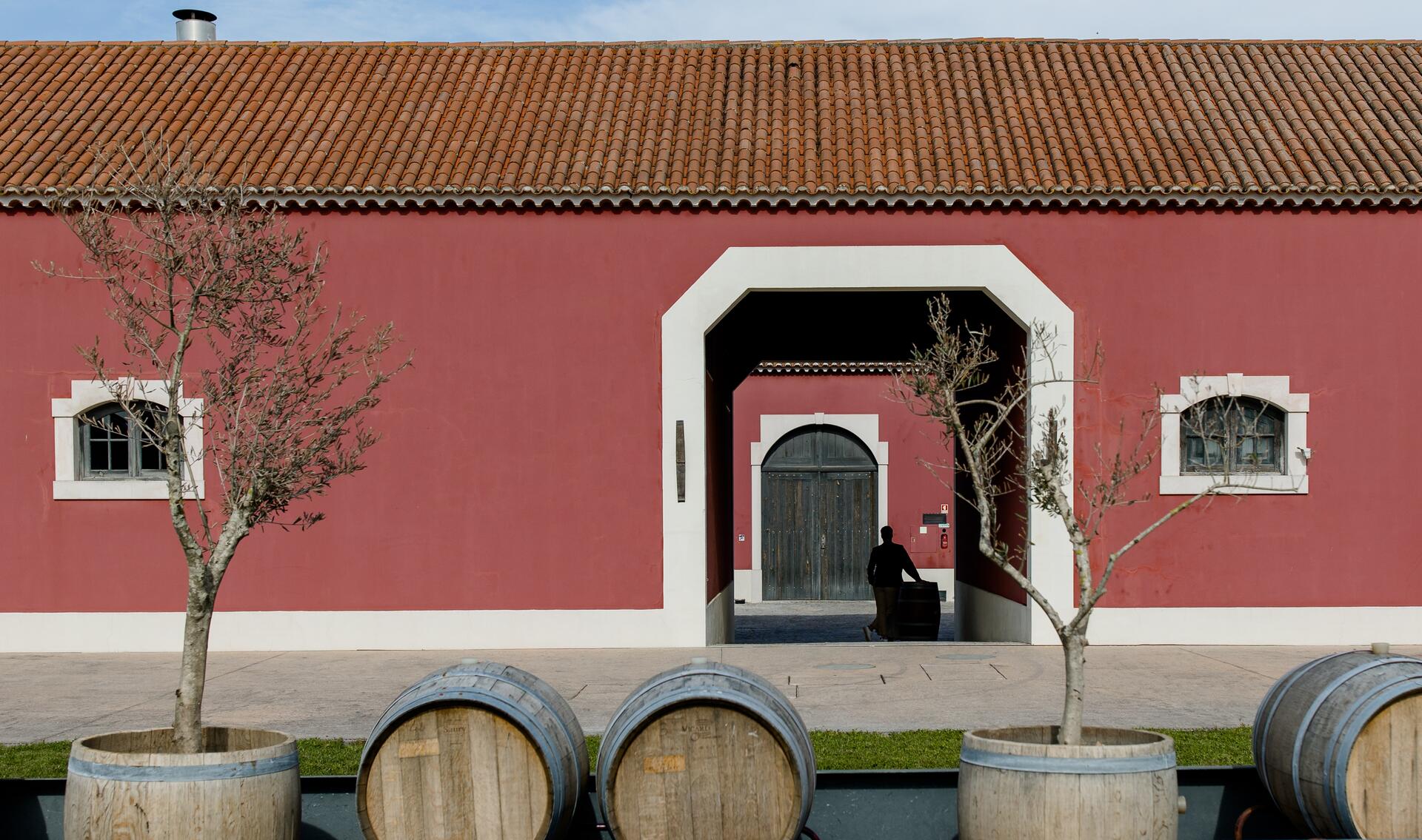 Ode Winery